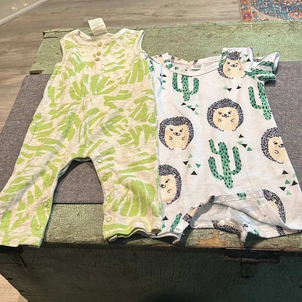 Gender Neutral 3-6 month one piece rompers - hedgehog shorts, Palm Long Pants